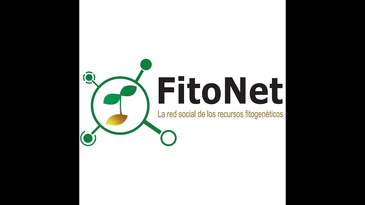 Miniatura de YouTube