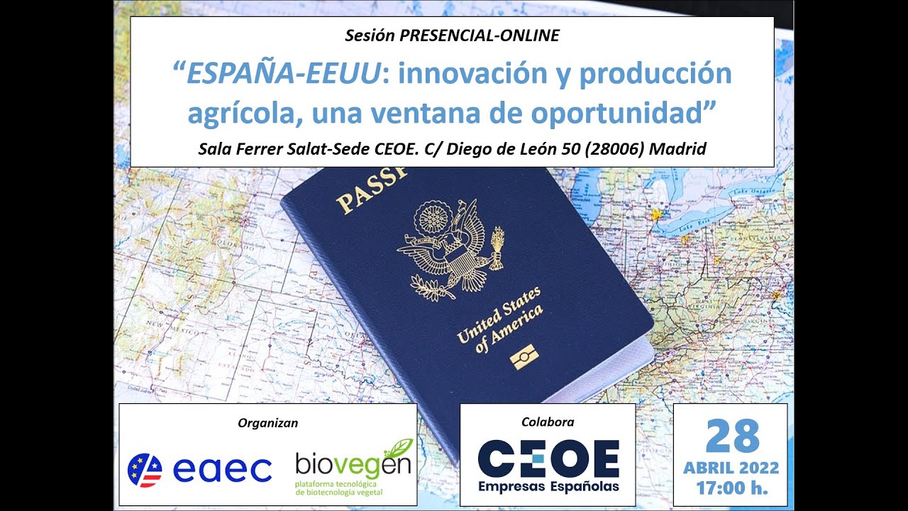 Miniatura de YouTube