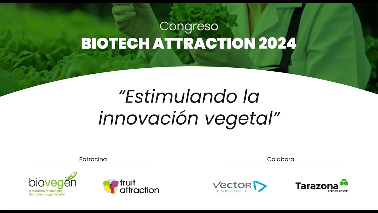 Miniatura de YouTube