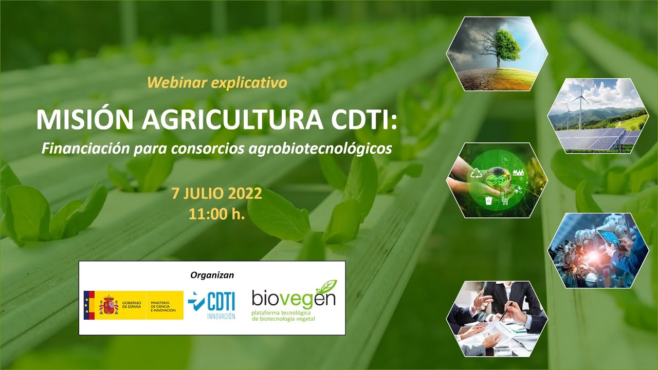 Miniatura de YouTube