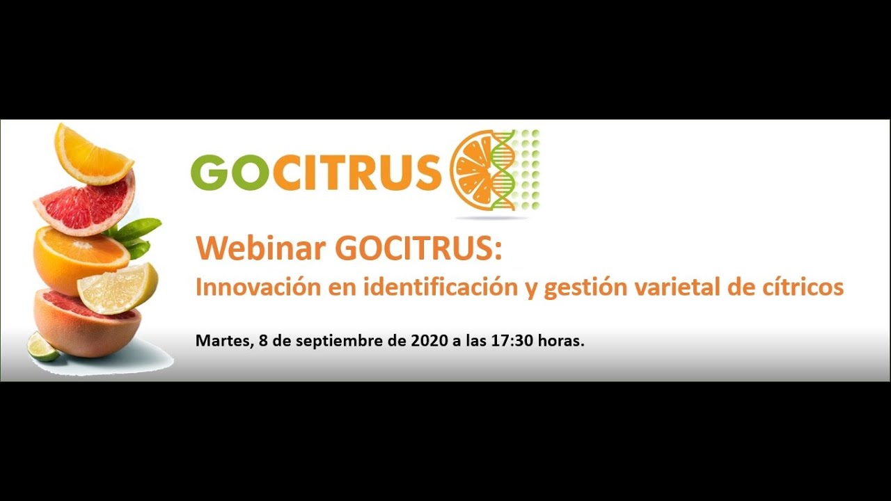 Miniatura de YouTube