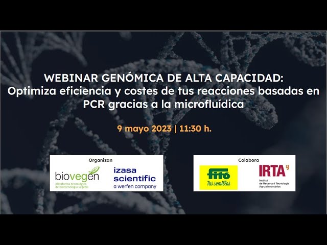 Miniatura de YouTube