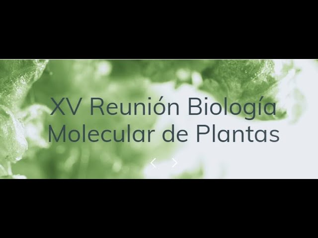 Miniatura de YouTube