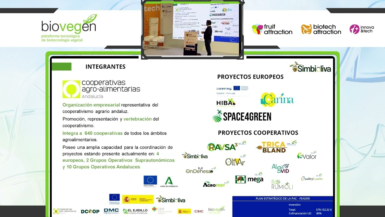 Miniatura de YouTube