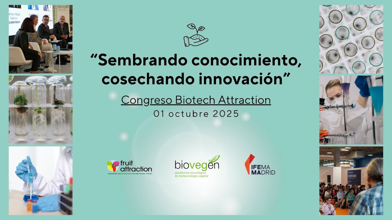 Miniatura de YouTube