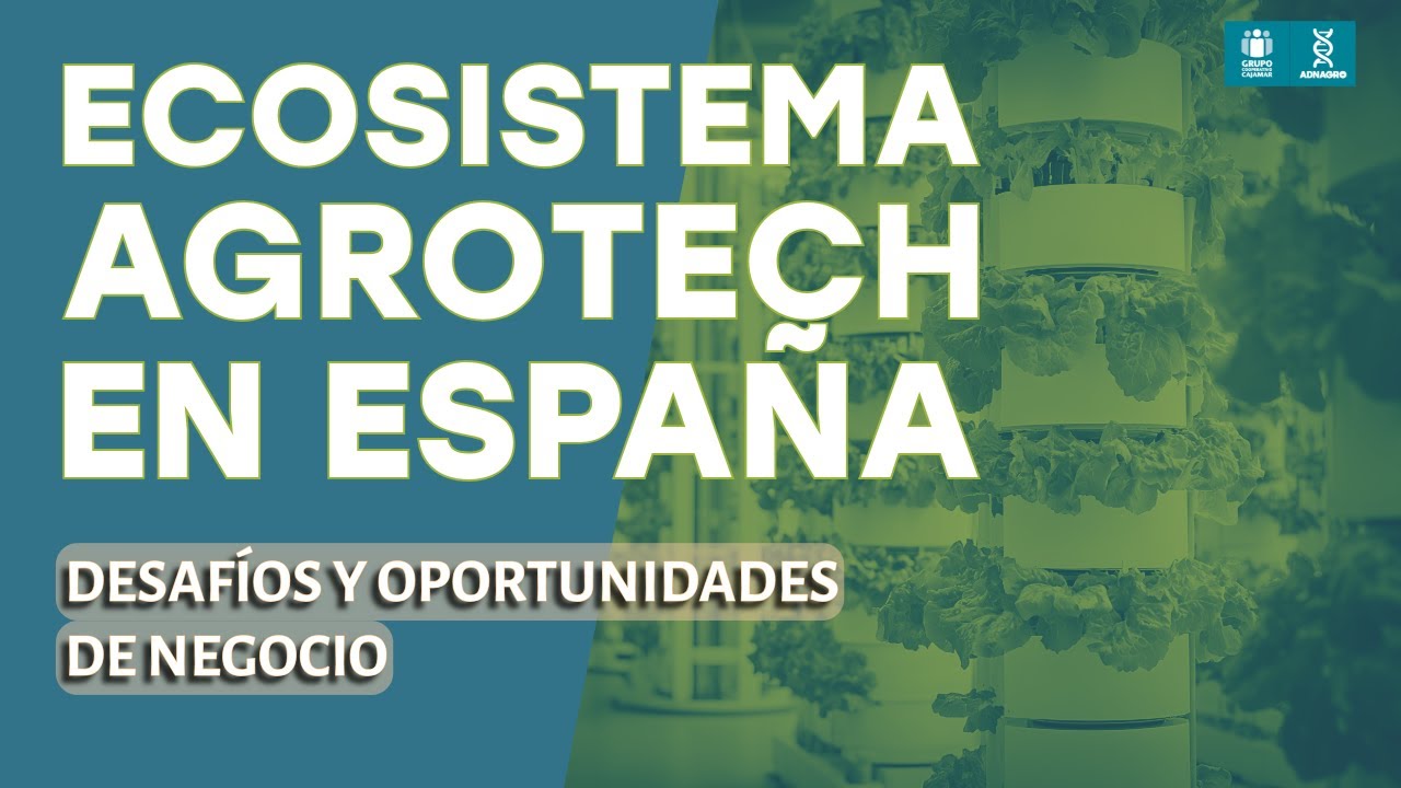 Miniatura de YouTube