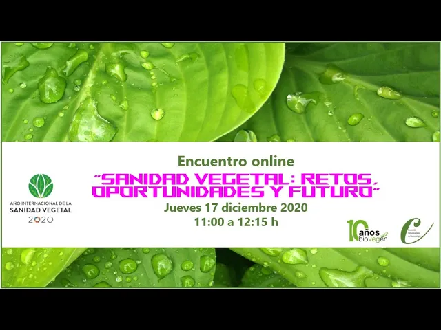 Miniatura de YouTube