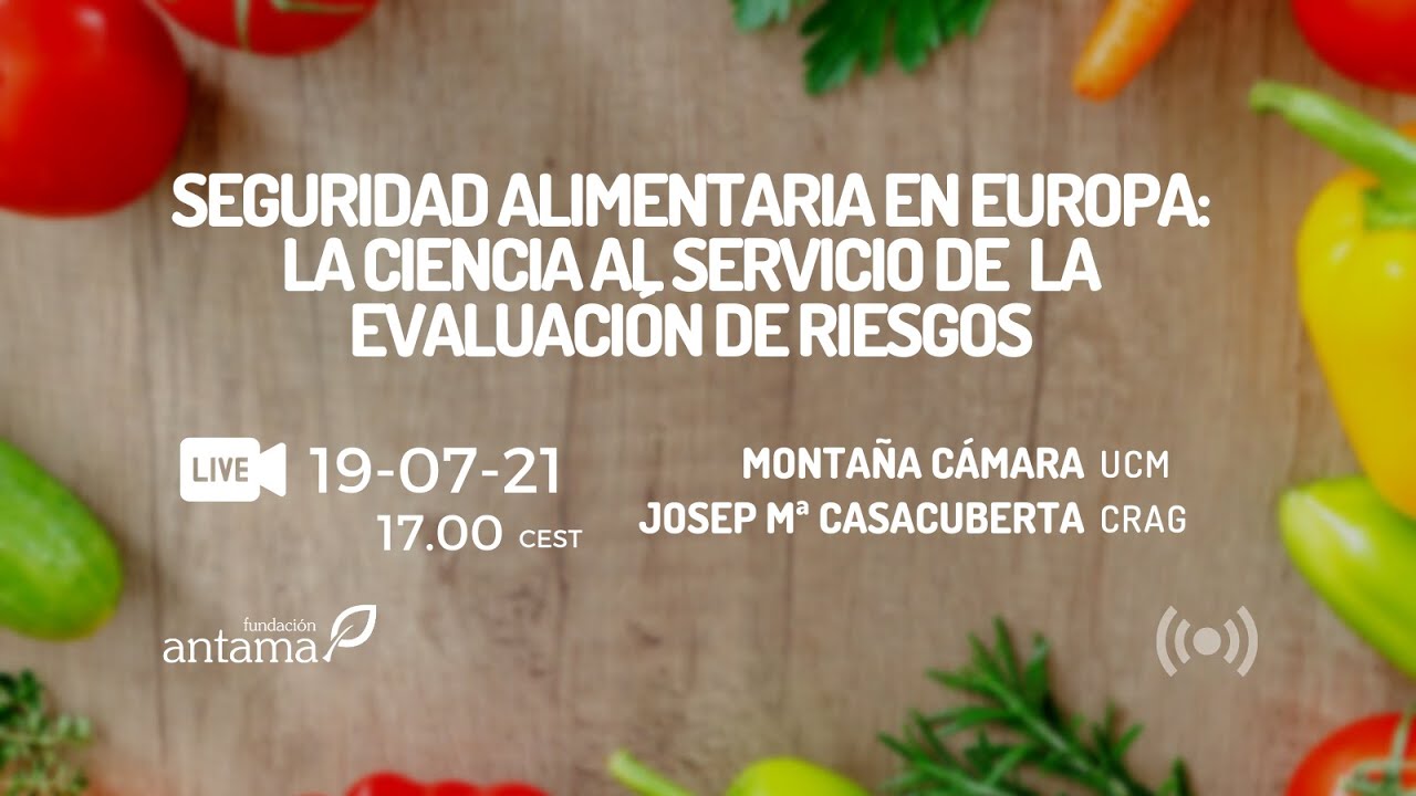 Miniatura de YouTube