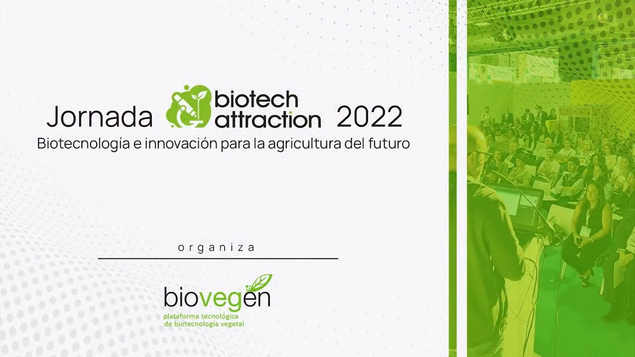 Miniatura de YouTube