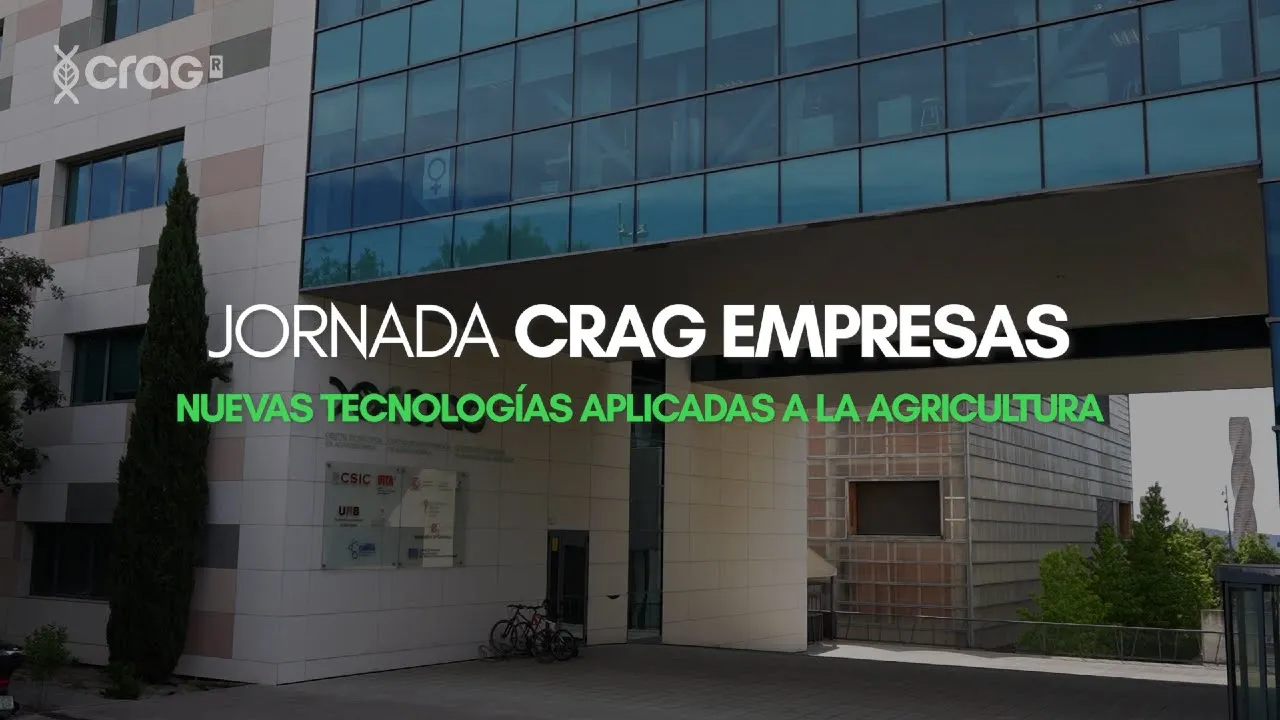 Miniatura de YouTube