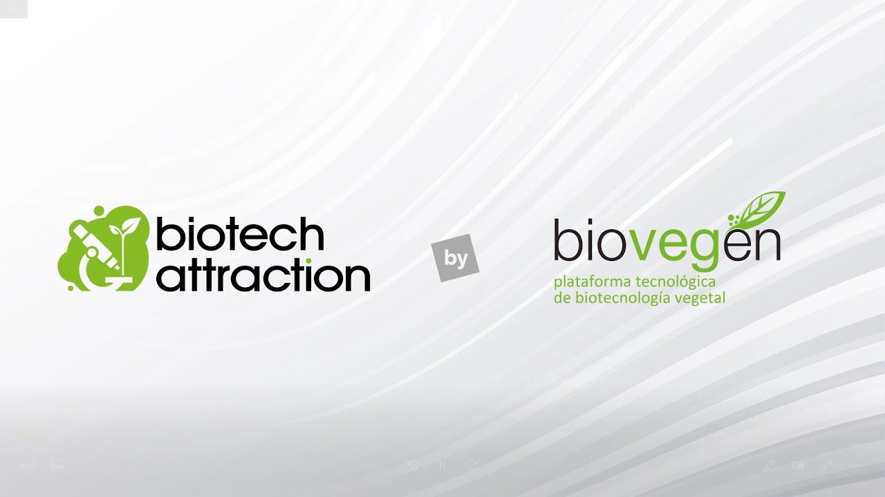 Miniatura de YouTube