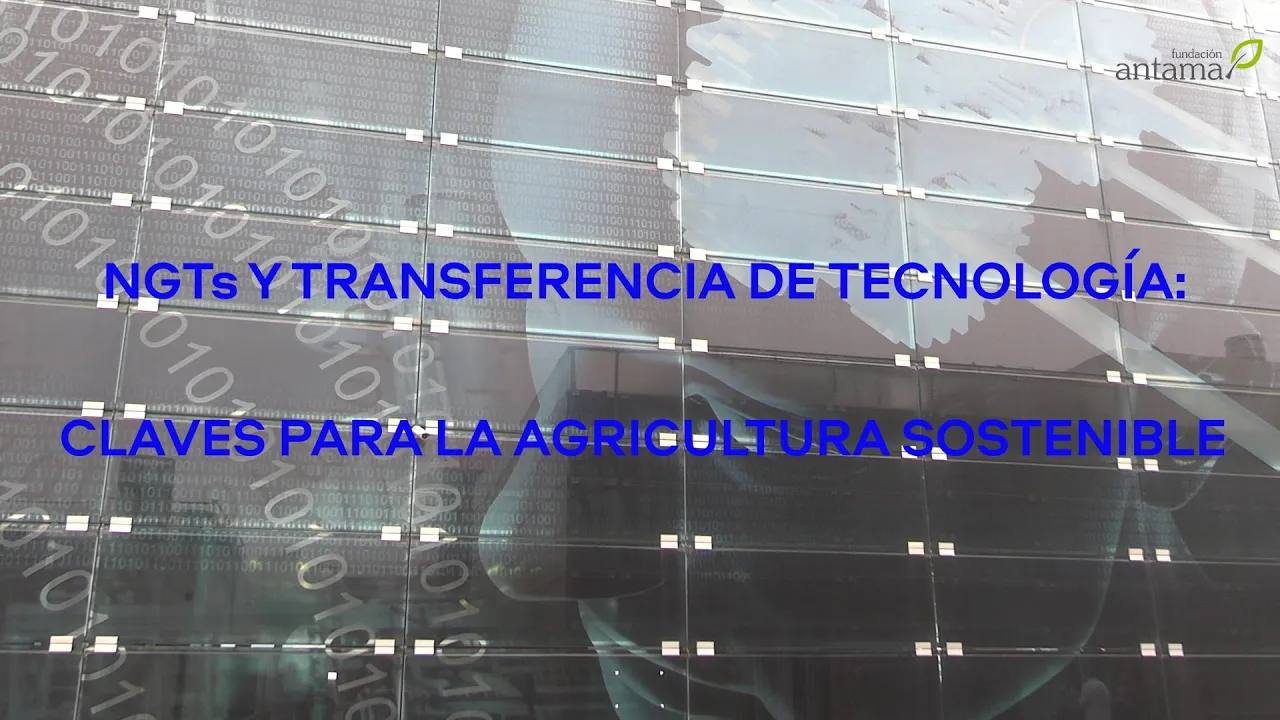 Miniatura de YouTube