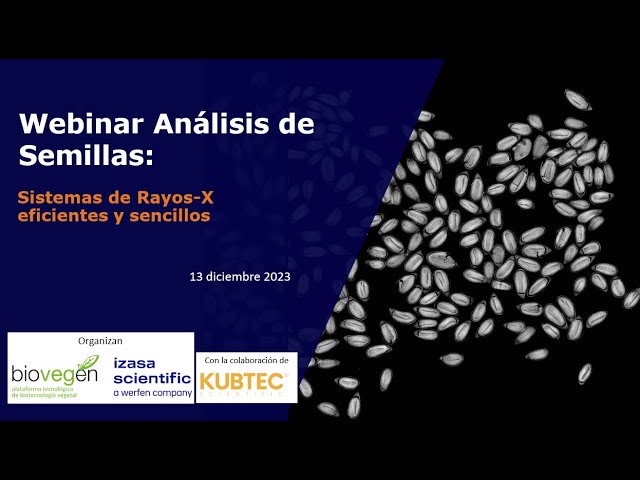 Miniatura de YouTube