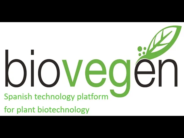 Miniatura de YouTube