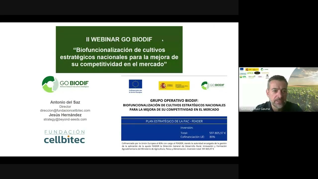 Miniatura de YouTube