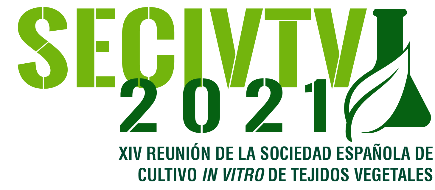 Sesión Ciencia-Empresa en la XIV Reunión de la SECIVTV 2021
