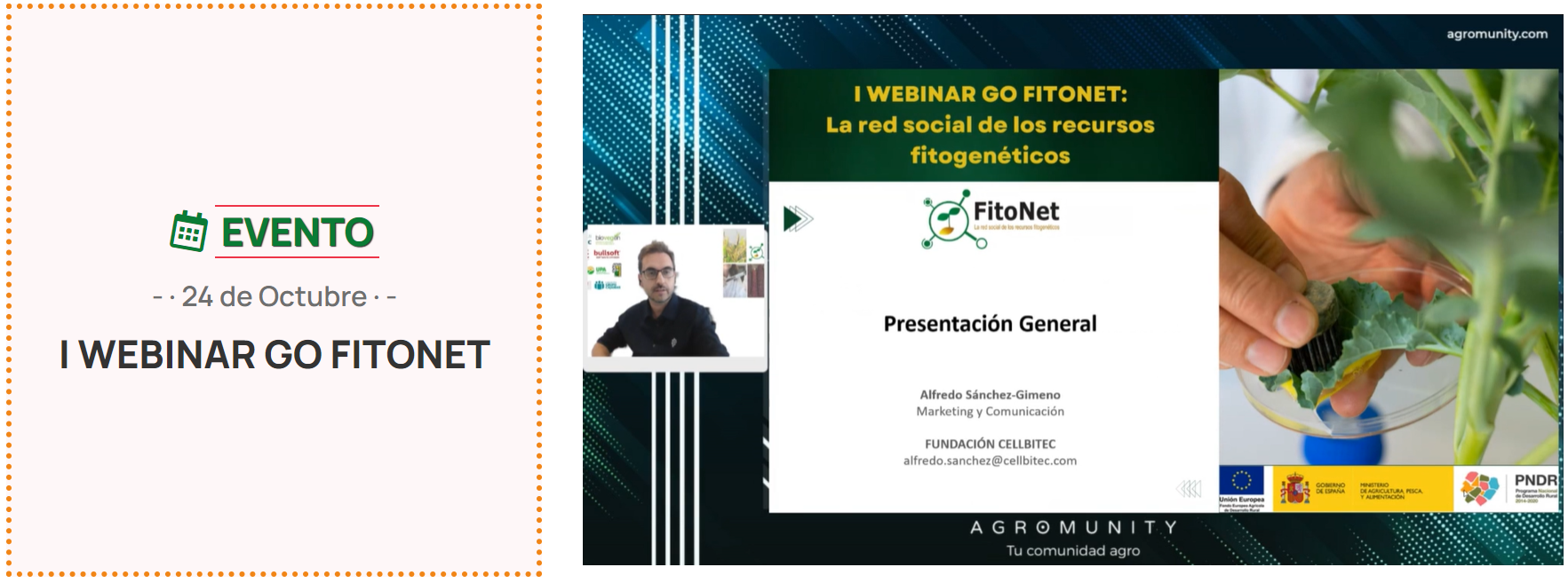 Celebrado con éxito el I Webinar GO FITONET
